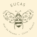 EUCAS