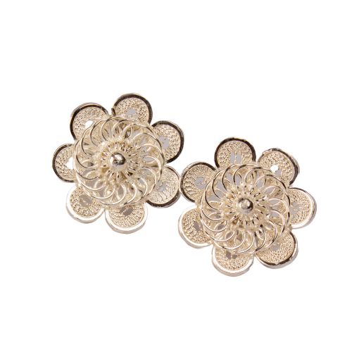 Aretes topos roseta-ch